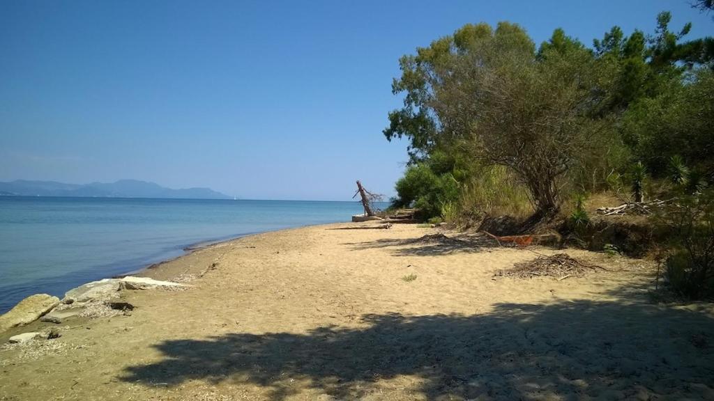 Apartment Ionio Lefkimmi (Corfu)