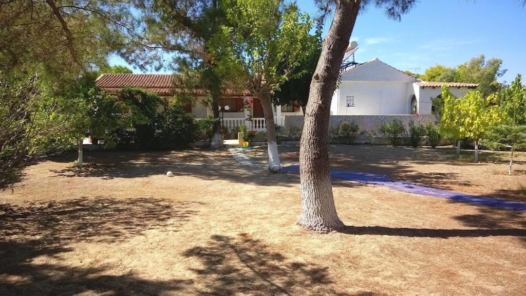 Apartment Ionio Lefkimmi (Corfu)